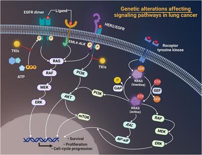 From targeted therapy to a novel way: Immunogenic cell death in lung cancer